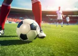 大乐透期号,专家推荐,质合分析前,B体育,体育博彩平台,体育投注,即时赛事投注,体育赔率,B体育官网