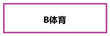 B体育