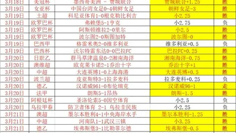 “英超半程越位技术启用时间将依据足总杯周末赛事结果公布”